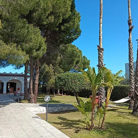 La Pineta *